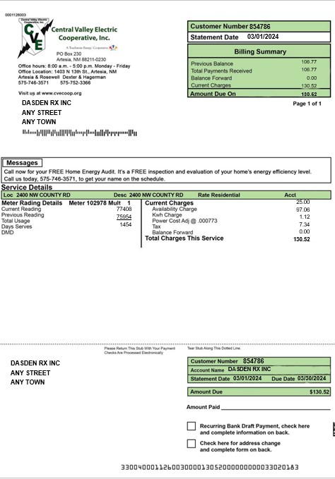 USA CENTRAL VALLEY ELECTRIC business utility bill Word and PDF template PSD template